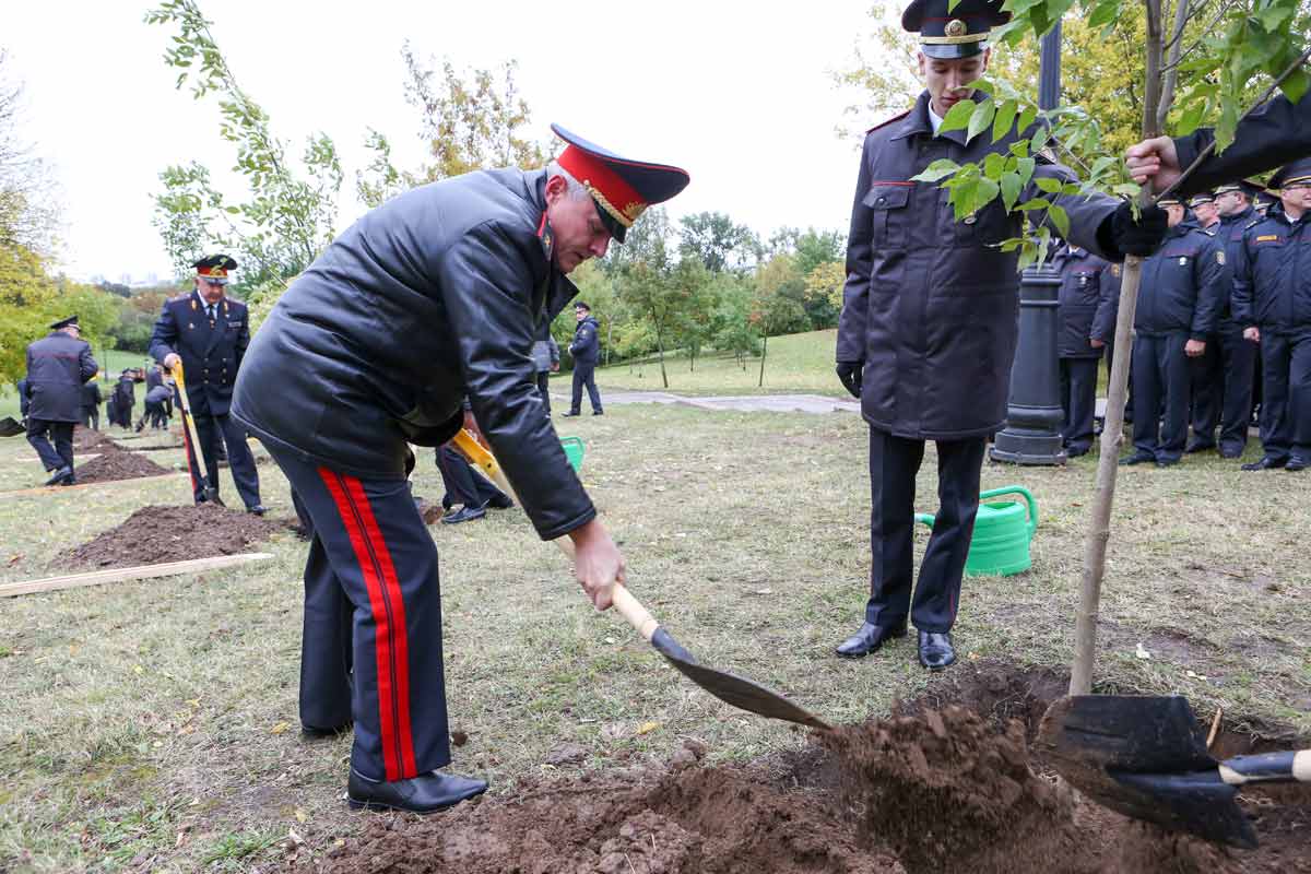 В Лошицком парке Минска заложена лиственная аллея в честь 100-летия уголовного розыска